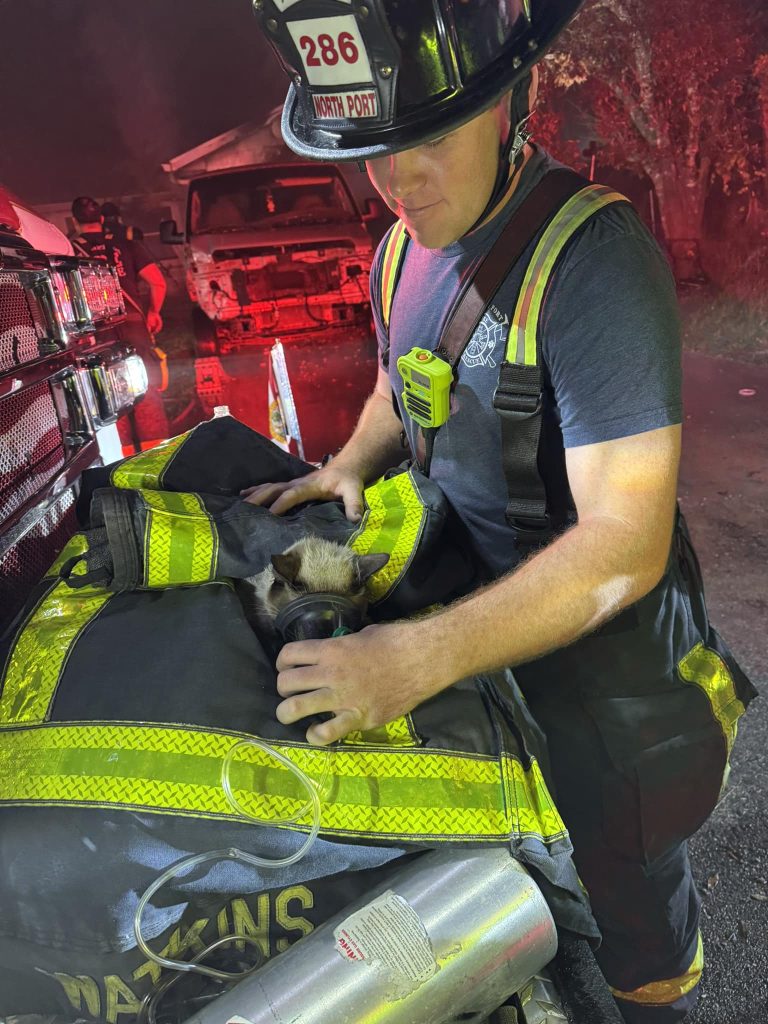 Firefighters Rescue Four Cats and a Dog Using Tiny Oxygen Masks 4 Hero firefighters in Florida saved 4 cats and a dog from a house fire using pet oxygen masks, proving lifesaving tools aren't just for humans. Read the full story!