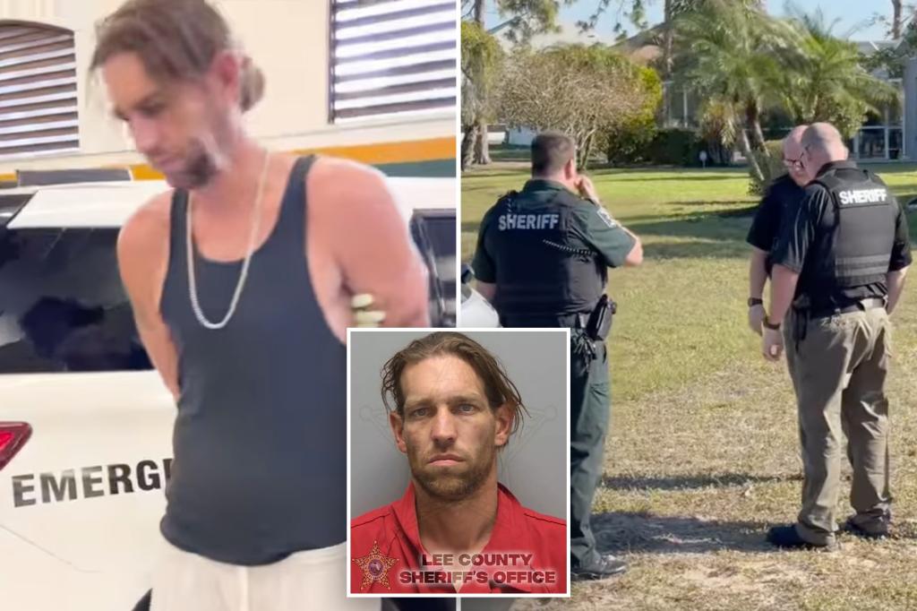 ‘Heinous’ Florida sicko put decapitated cats’ heads on top of homeowner’s mailbox: police 1 100618463