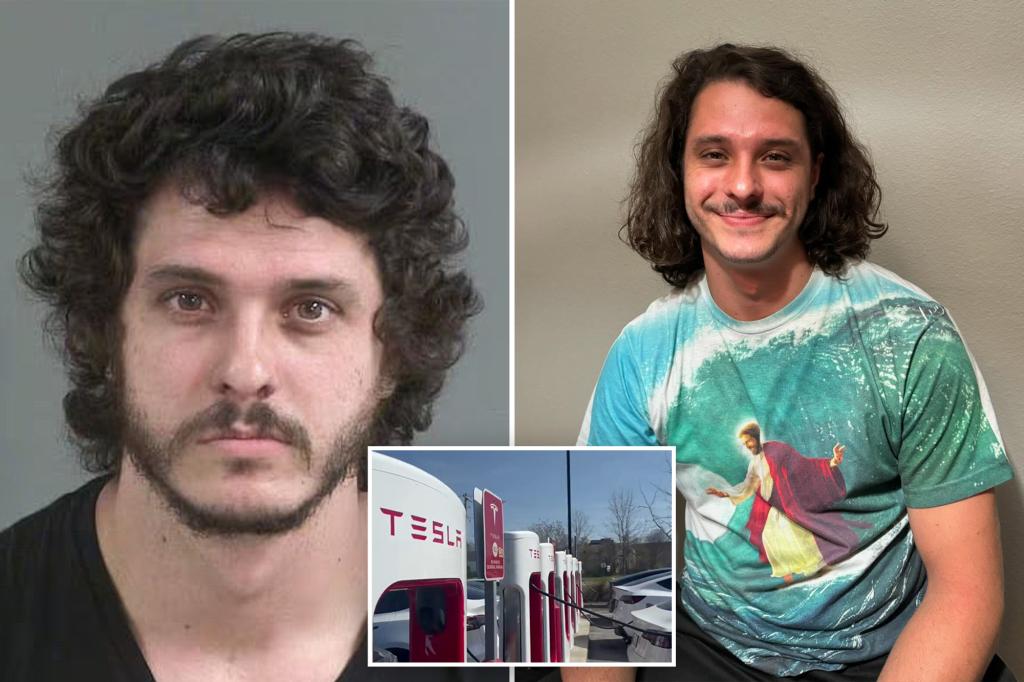 Hapless anti-Musk activist sets himself on fire after attacking South Carolina Tesla charging station with Molotov cocktails 1 100673779