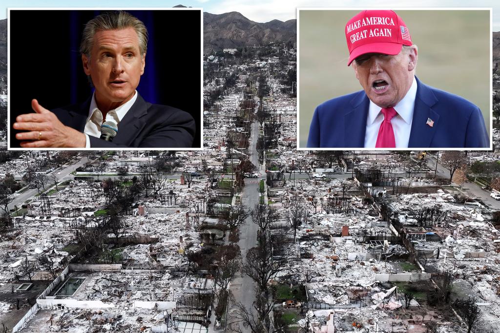 Newsom moves to clear flammable brush from California forests after Trump’s criticism over wildfire policies 1 99568817