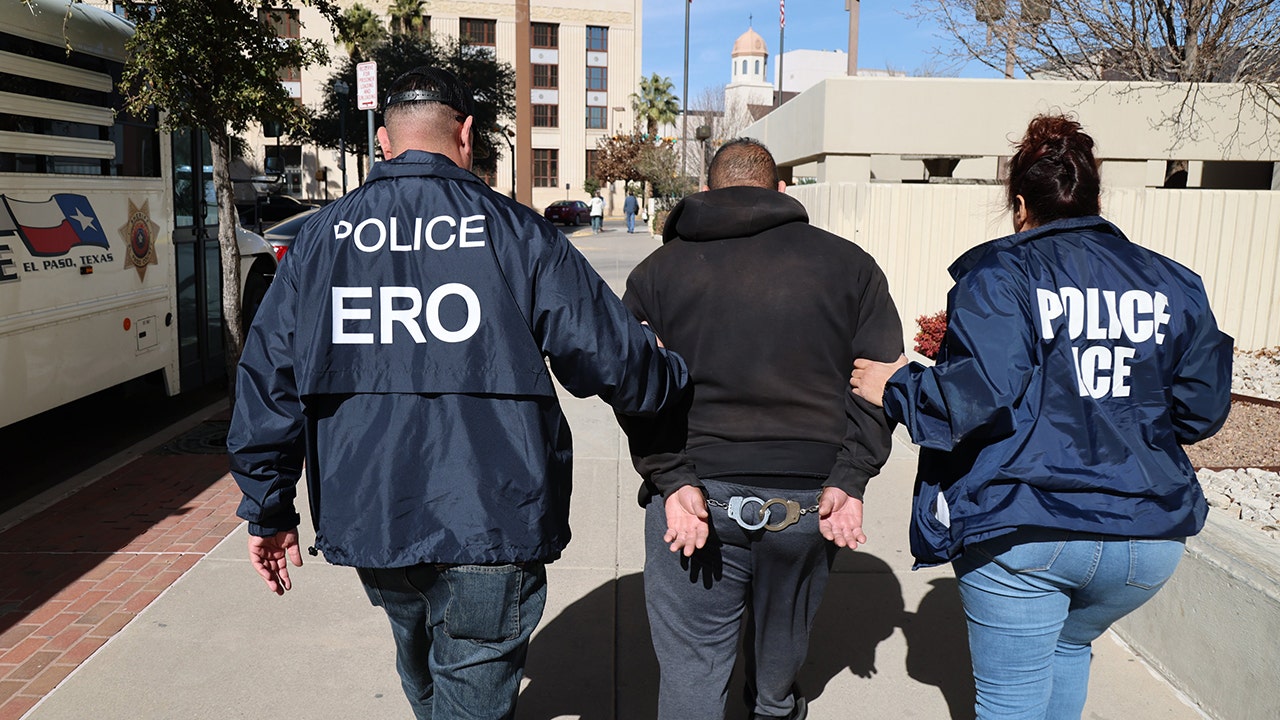 Sanctuary city lawyers plot to help illegal migrants evade ICE in exposed group email 1 ICE arrest