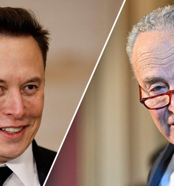 musk schumer