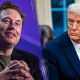 musk trump getty