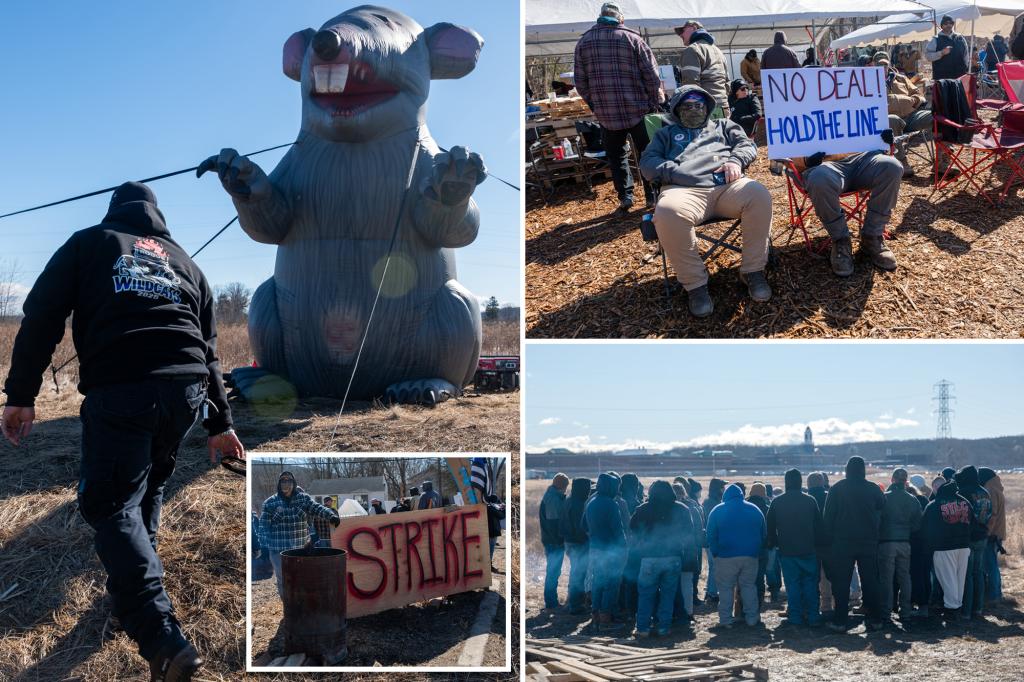 NY prison officials warn striking correction officers to get back to work or face termination in last-ditch attempt to stop wildcat action 1 new york issues terminations officers 99663478