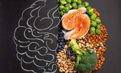 How Your Diet Affects Your Mood: The Gut-Brain Connection