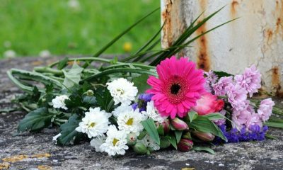 Drunk Saltash Woman Dies After Dialysis Graft Incident
