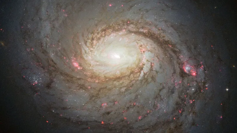 Extreme Black Hole in Squid Galaxy Produces High-Energy Neutrinos 1 Extreme Black Hole in Squid Galaxy Produces High-Energy Neutrinos