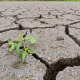 Global Warming Increases Cancer Risk for MENA Women