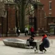 Harvard’s China Ties Spark US Government Action