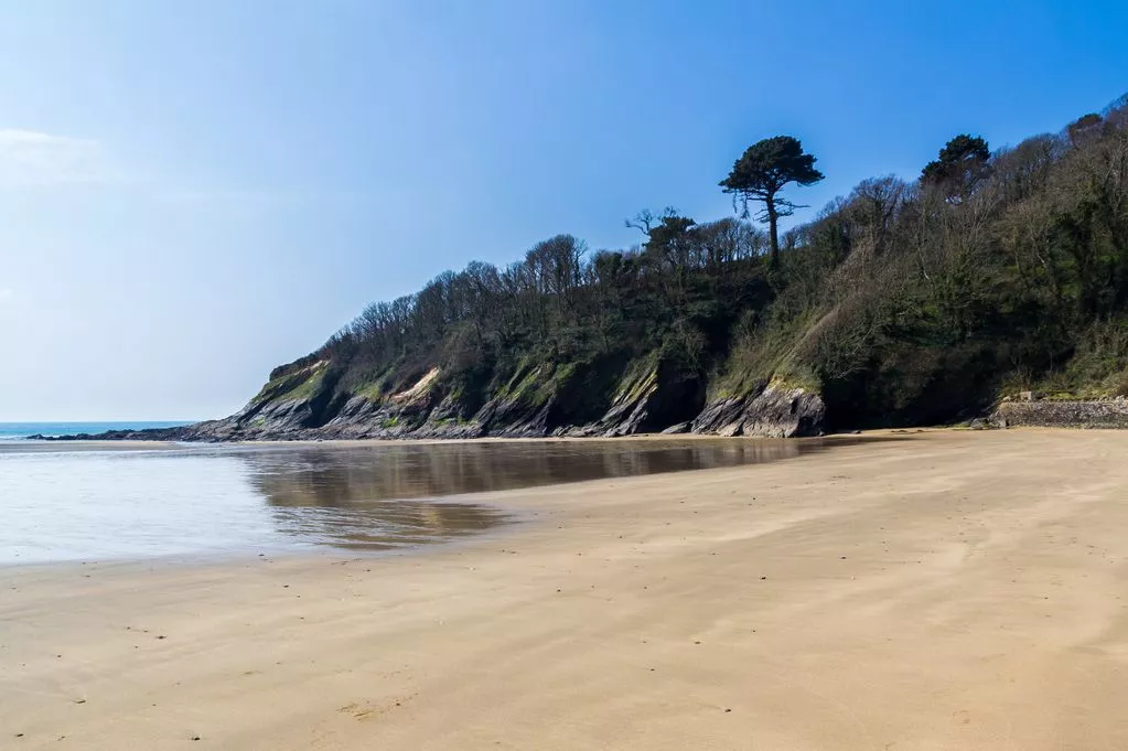 Porthluney Beach in Cornwall Gets Brown Flag Award for Dirty Water