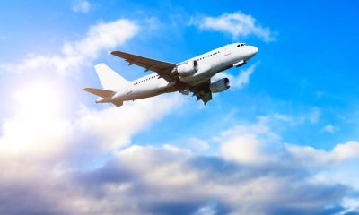 US May Lose $12.5 Billion in Travel Revenue in 2025 Due to Political Uncertainty