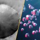 Wave-Like Soil Patterns Found on Mars Spark Interest in Climate History