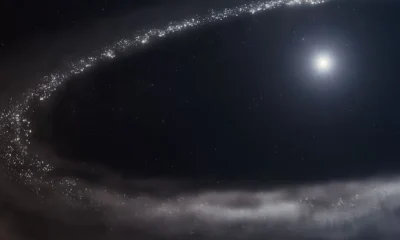 Webb Telescope Finds Water Ice in Nearby System, Hints at Earth-Like Worlds
