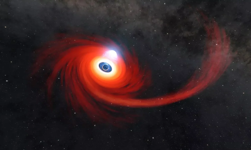 Supermassive Black Holes Destroy Massive Stars in Explosions