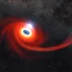 Supermassive Black Holes Destroy Massive Stars in Explosions